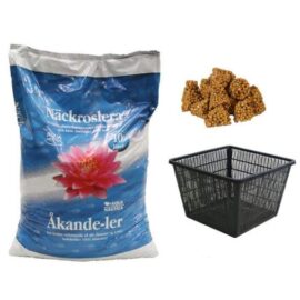 Planteringsset näckrosor