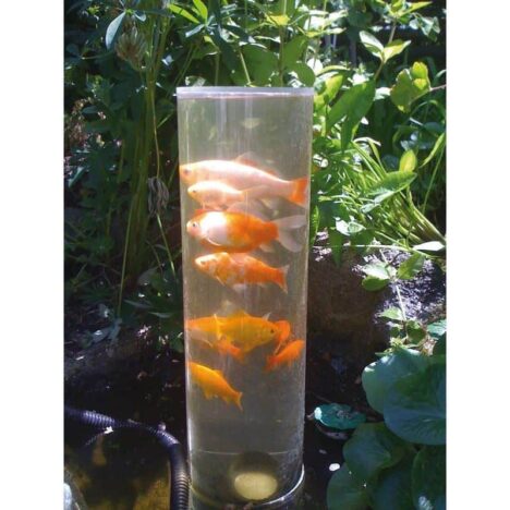 Fisktorn