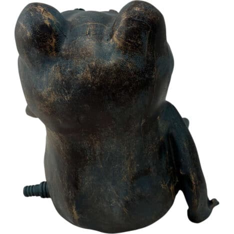 Groda stor ca 21 cm vattensprutande