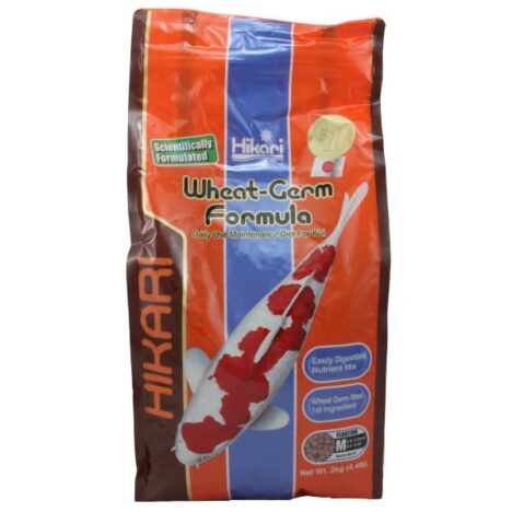 Hikari Wheat Germ