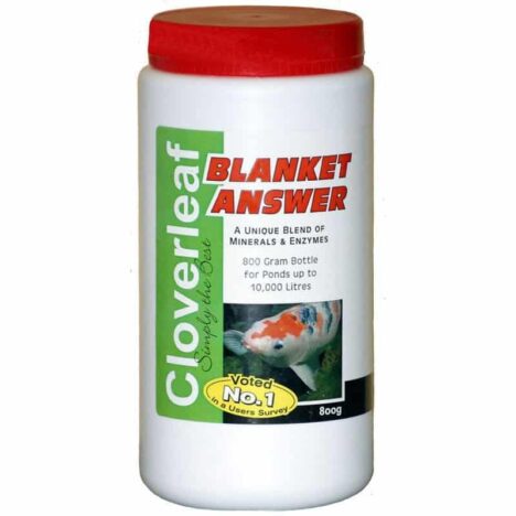 Blanket Answer 800 gram