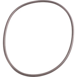 O-ring Biopress Oase