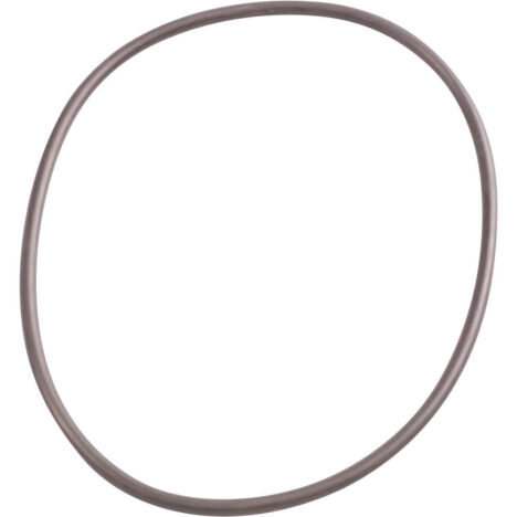 O-ring Biopress Oase