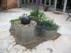 miljobild_springbrunn_amund_vattenliv
