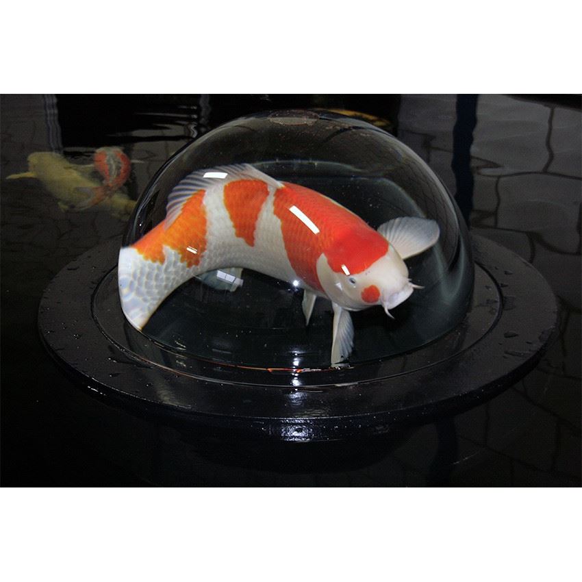 Fiskglob