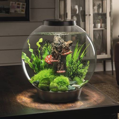 Biorb akvarium från vattenliv Pumpar i akvarium