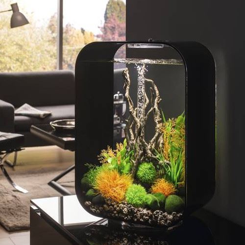 Biorb akvarium från vattenliv Pumpar i akvarium
