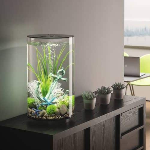 Biorb tube 30 l, mcr vattenliv Pumpar i akvarium