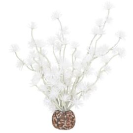Bonsai boll vit