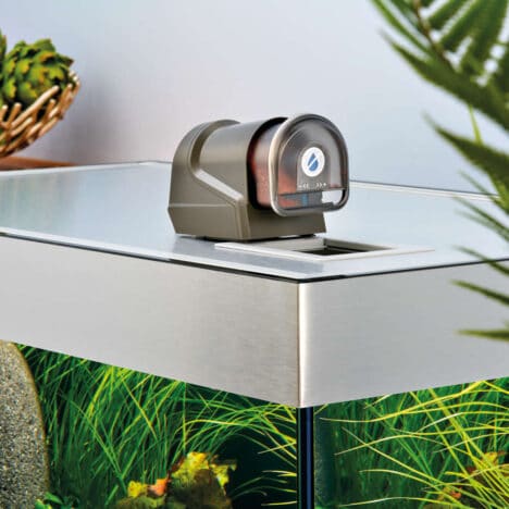 Foderautomat till akvarium