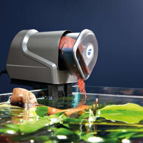 Foderautomat till akvarium