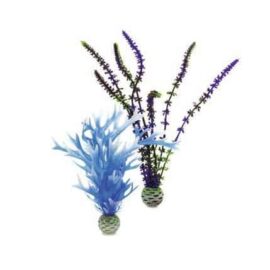 Plantset M, blå och lila