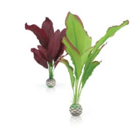 Silkesplantor set M, grön-purpur