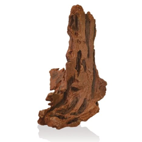 Bogwood trädrot, Spira