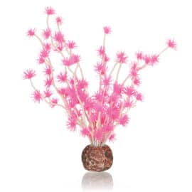 Bonsai boll rosa