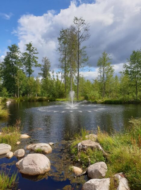 Flytande fontän 60000 vulkanmunstycke