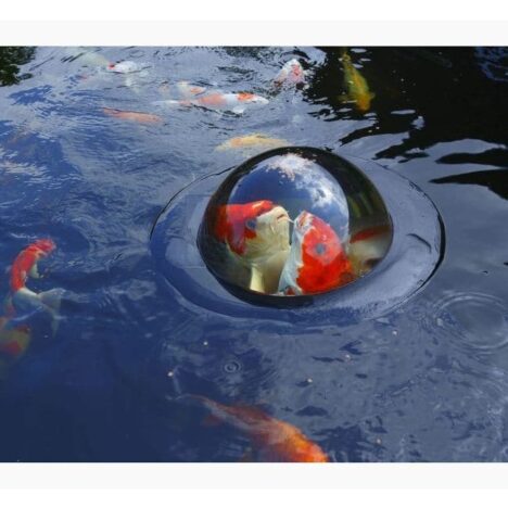 Fiskglob M - Bild 2