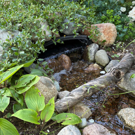 Spillway Box, miljöbild