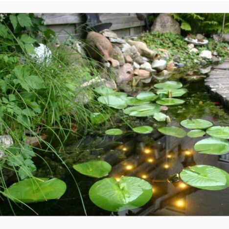 Welkin Pond Light - Bild 4