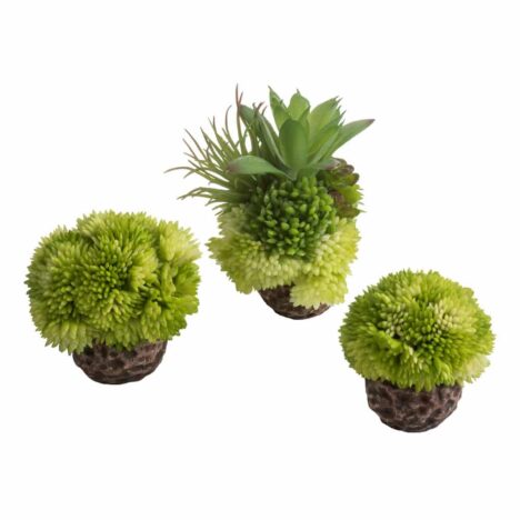 Korallboll, set