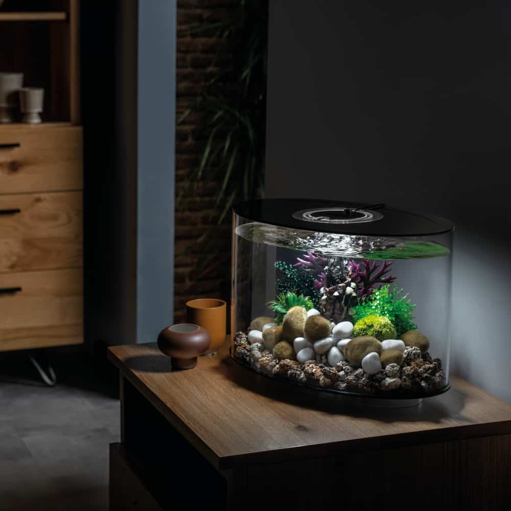 Acquario biOrb LOOP 30 LED, 30 litri - set completo di acquario con sistema  di filtraggio brevettato, vasca in acrilico