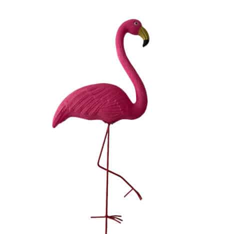 Flamingo mörkrosa