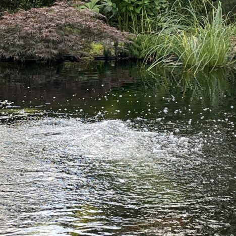 Aktuellt för trädgårdsdammen- luftpump