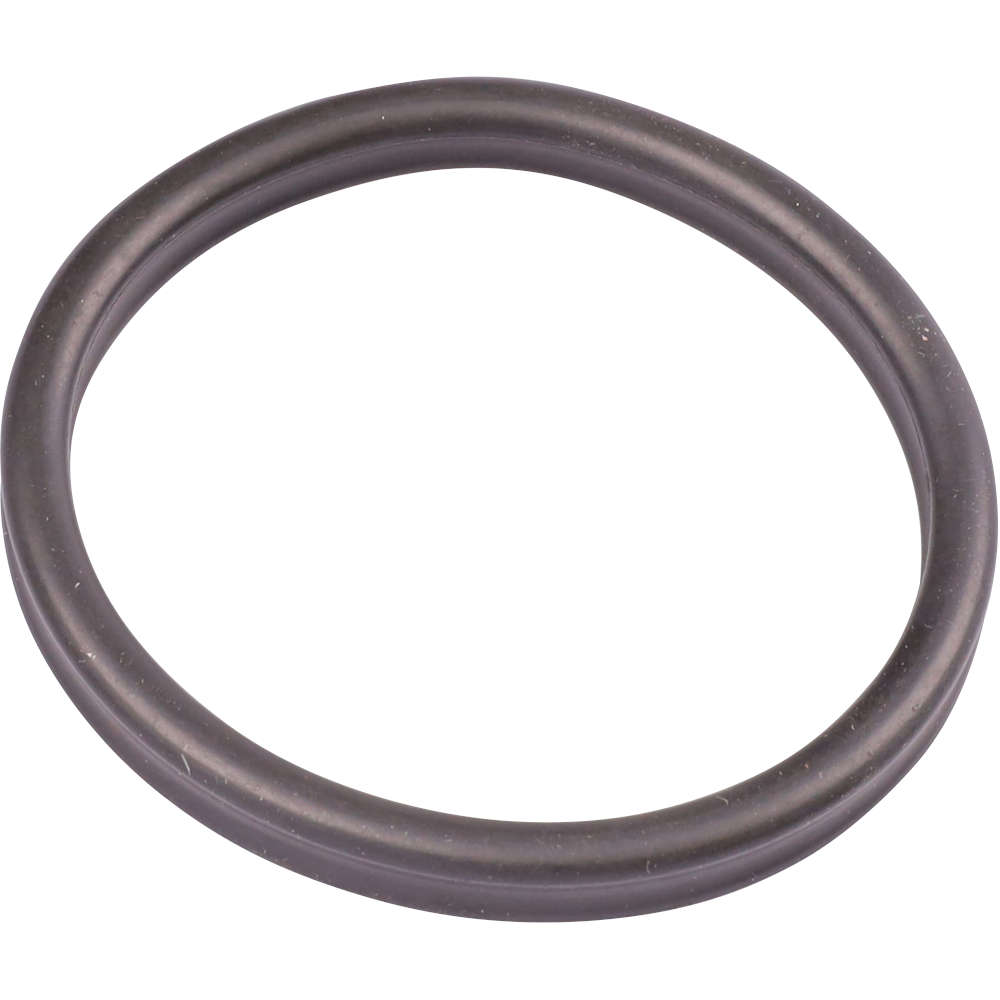 O-ring förfilter BioMaster